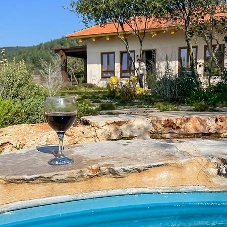 Azamra Amirim Villa Ngoại thất bức ảnh