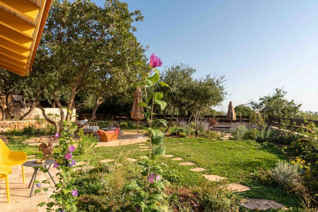 Azamra Amirim Villa Ngoại thất bức ảnh